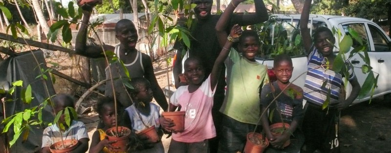 Children carrying seedlings