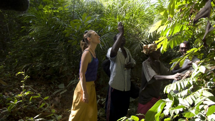 Madadh looking at a Carapa tree